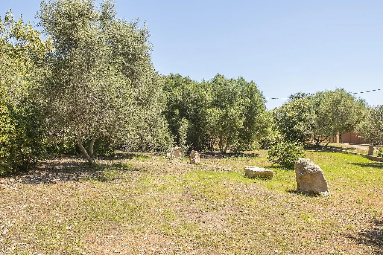 ヴィラ Finca Sa Plana ソン・セルヴェラ